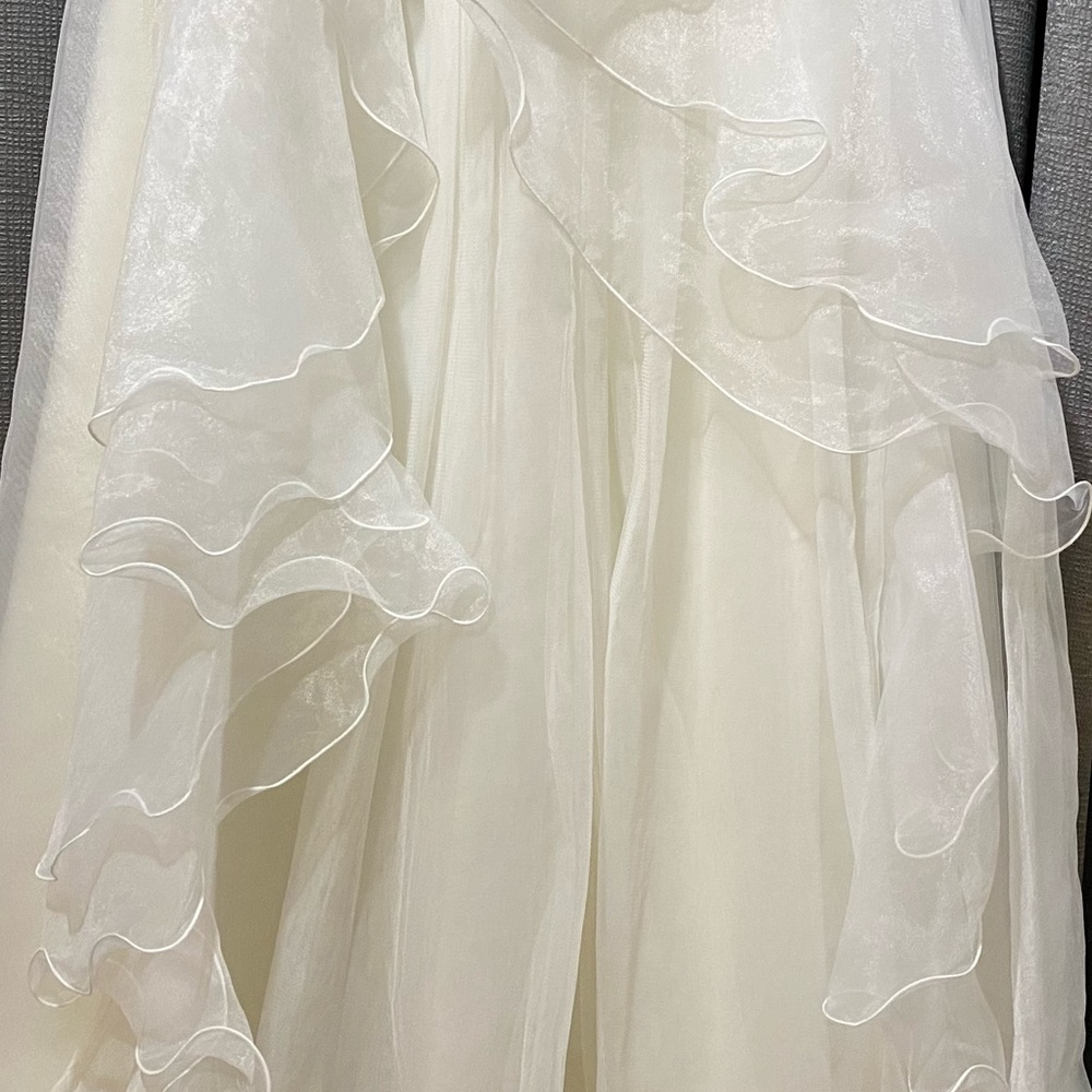 Wedding Dress - Picture 16 of 17